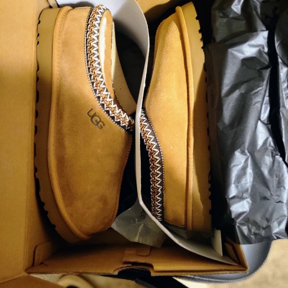 UGG (Tasman) Boots